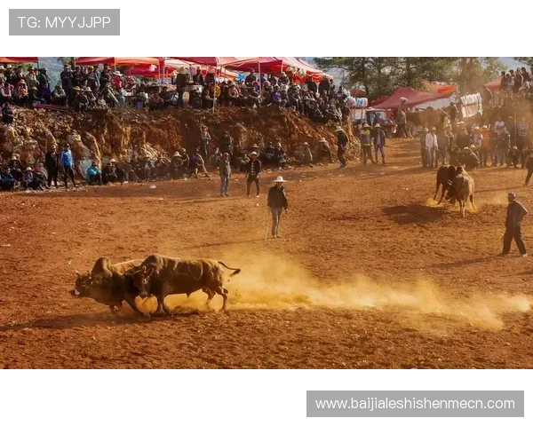 真人斗牛网址推荐让你轻松体验高品质线上斗牛娱乐的最佳平台选择