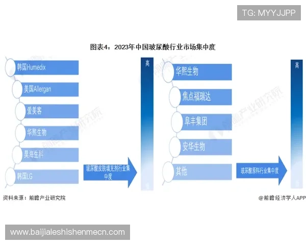 AG视讯公司简介最新版本：企业成立背景、主要产品线及市场布局全方位解读